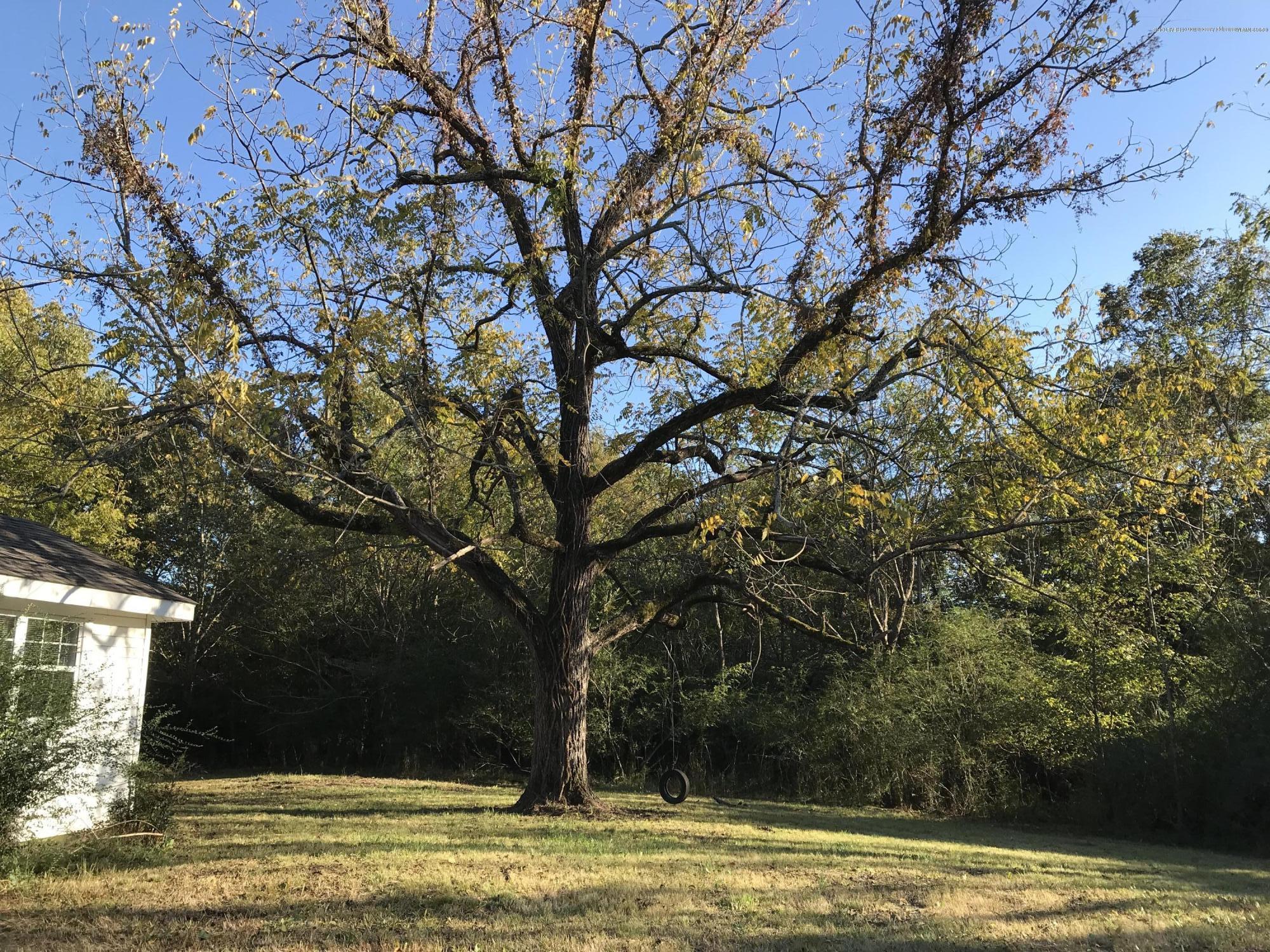 3240 J J Ranch Road Senatobia, MS 38668 - Photo 11 of 11 9CBD2DF7-70A9-45B7-BCCB-519336382C3E