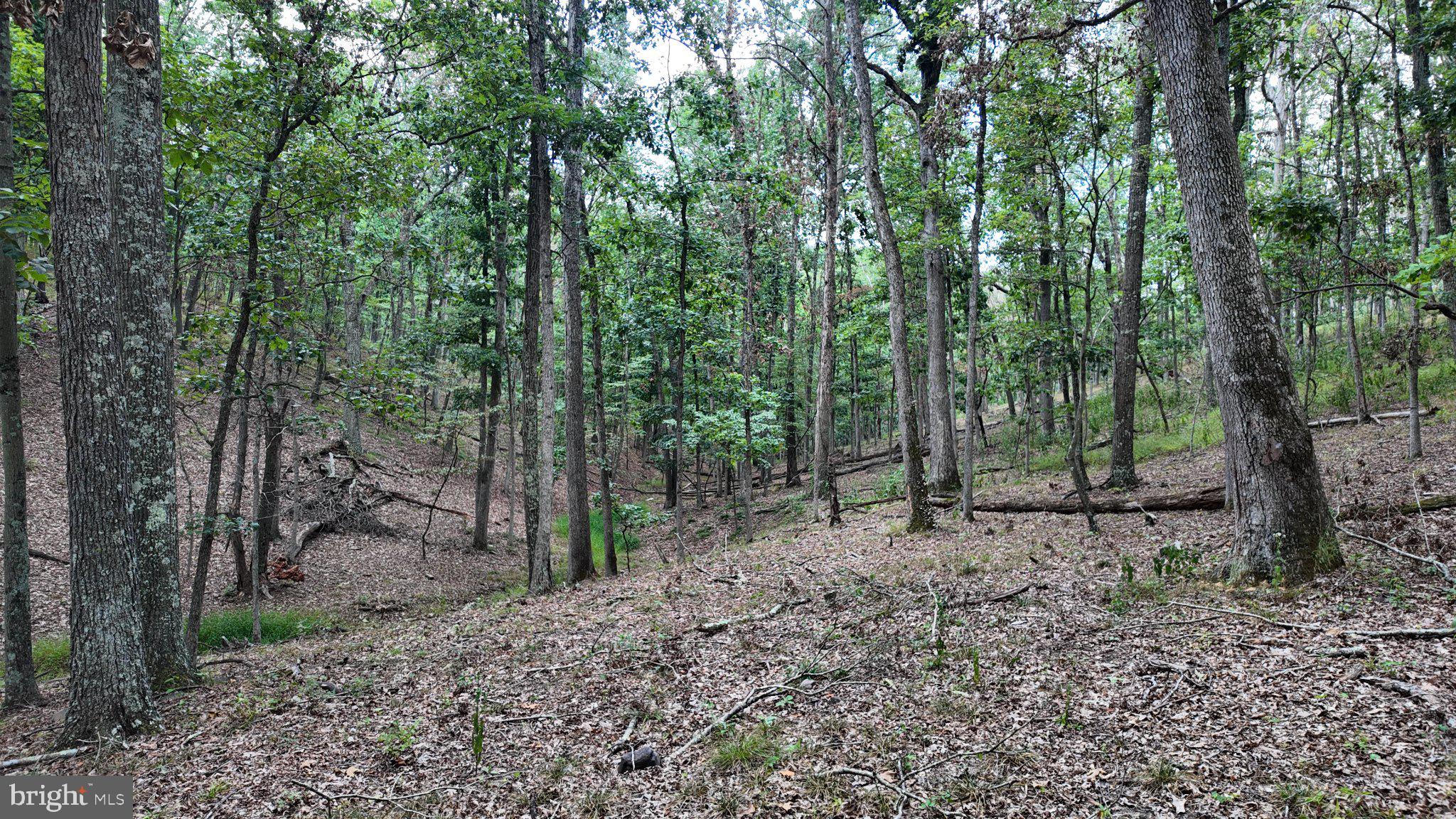 29-acres 29-acres Gaither Road Great Cacapon, WV 25422 - Photo 42 of 45 Gallery Image 42