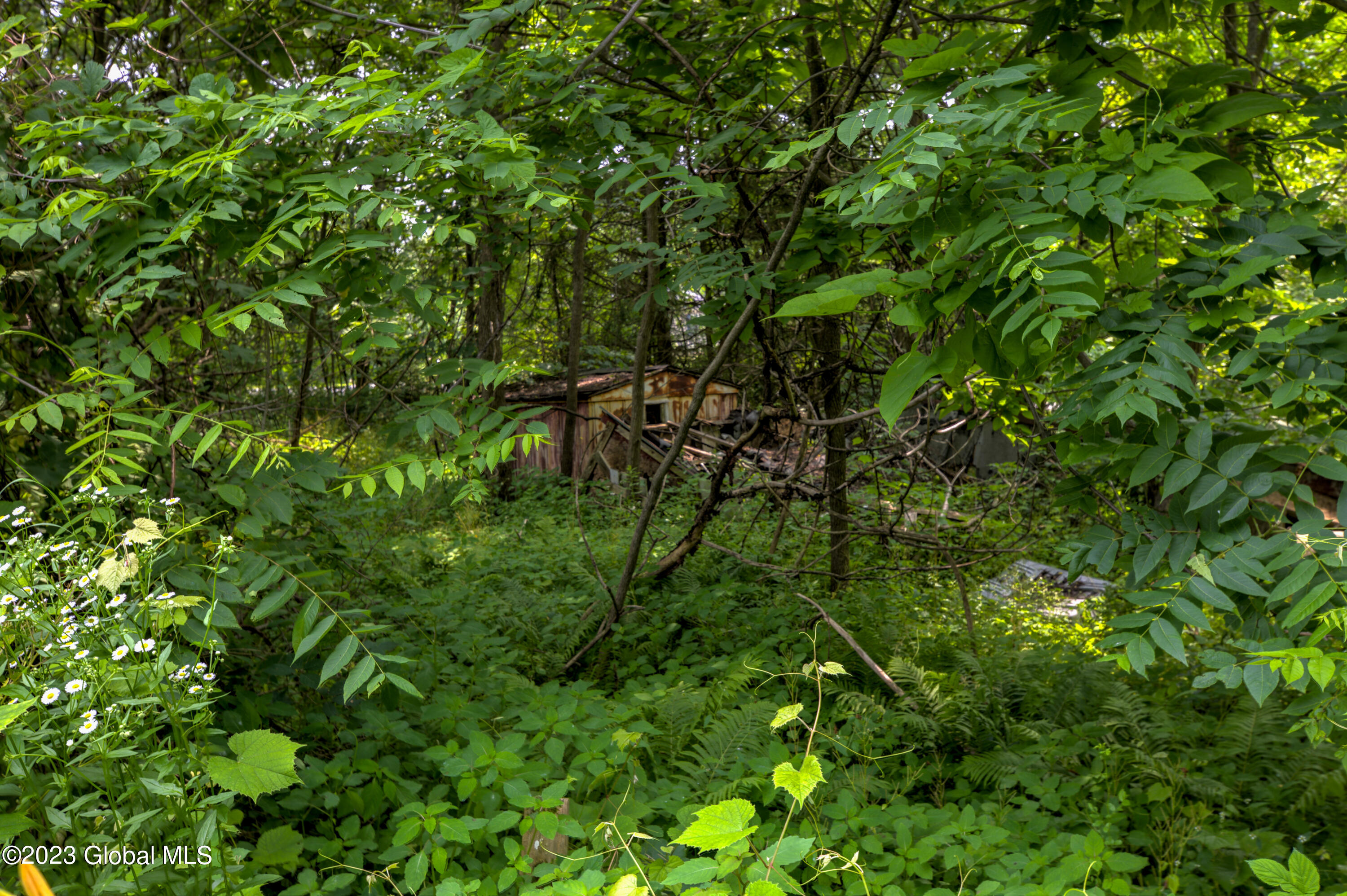 153 Cemetery Road Victory, NY 12884 - Photo 21 of 21 1 (8)