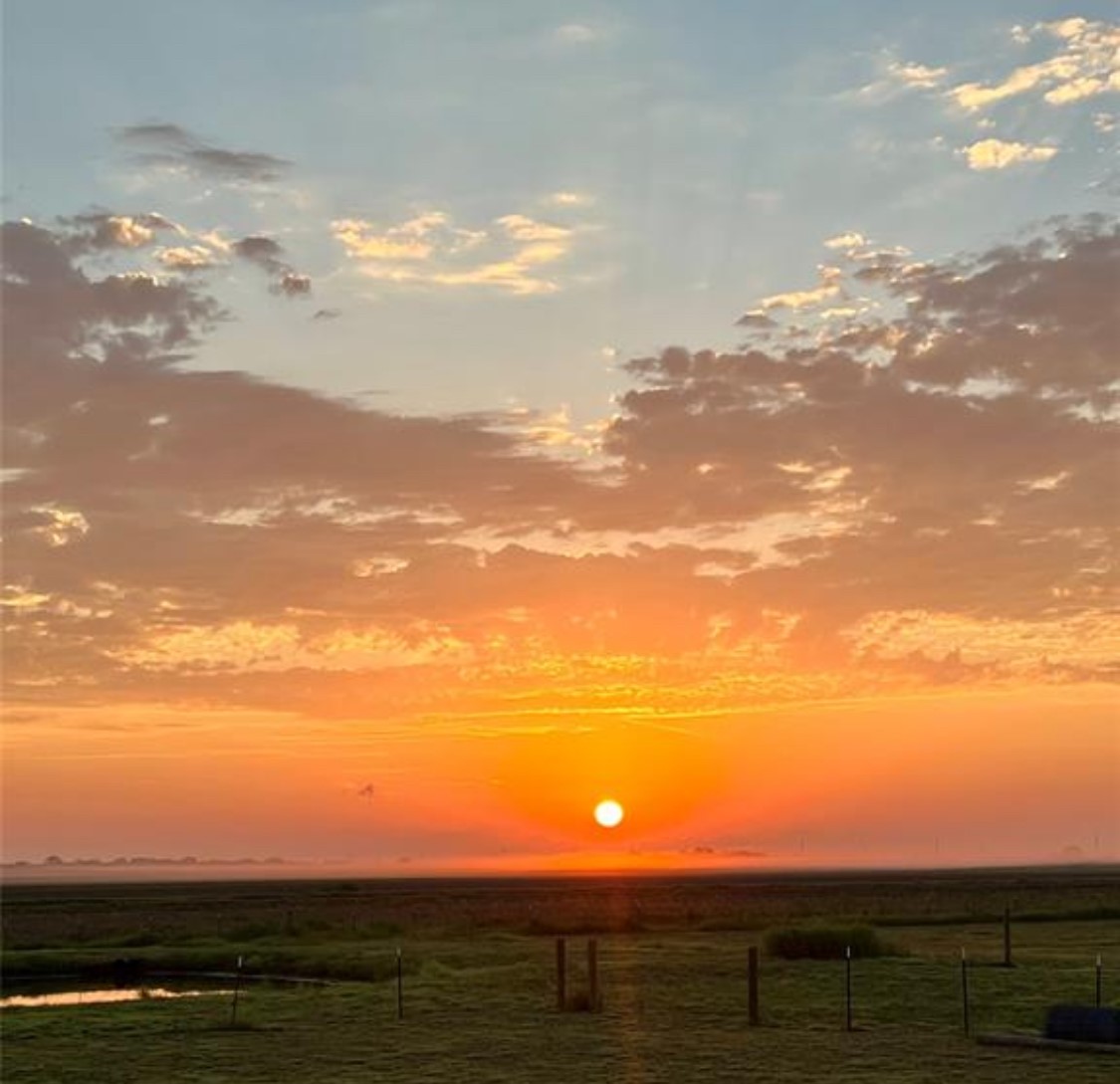 Tbd Vacek Street Santa Fe, TX 77517 - Photo 7 of 7 a view of an ocean and beach