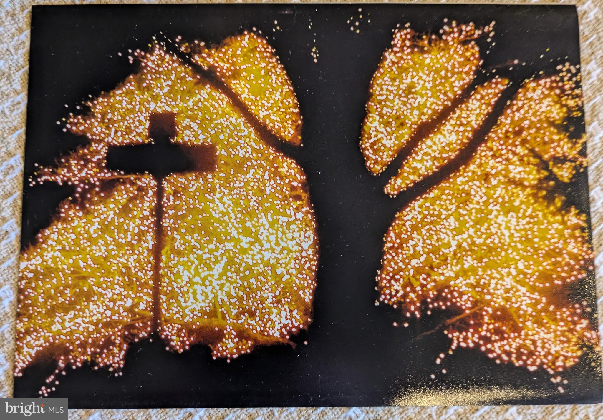 355 George Street Hanover, PA 17331 - Photo 44 of 44