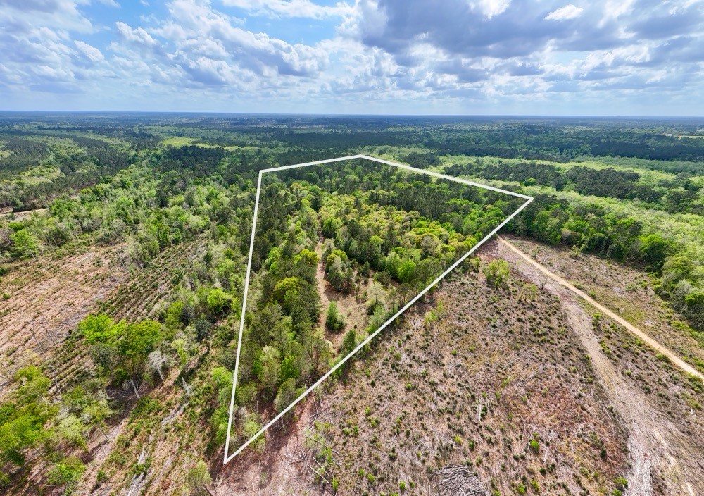 0 County Road 4630 Road North Spurger, TX 77660 - Photo 8 of 50 Gallery Image 8