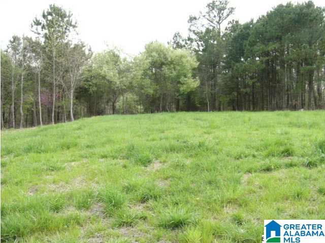 0 Spring Creek Road, Unit 30 AC Calera, AL 35040 - Photo 13 of 20