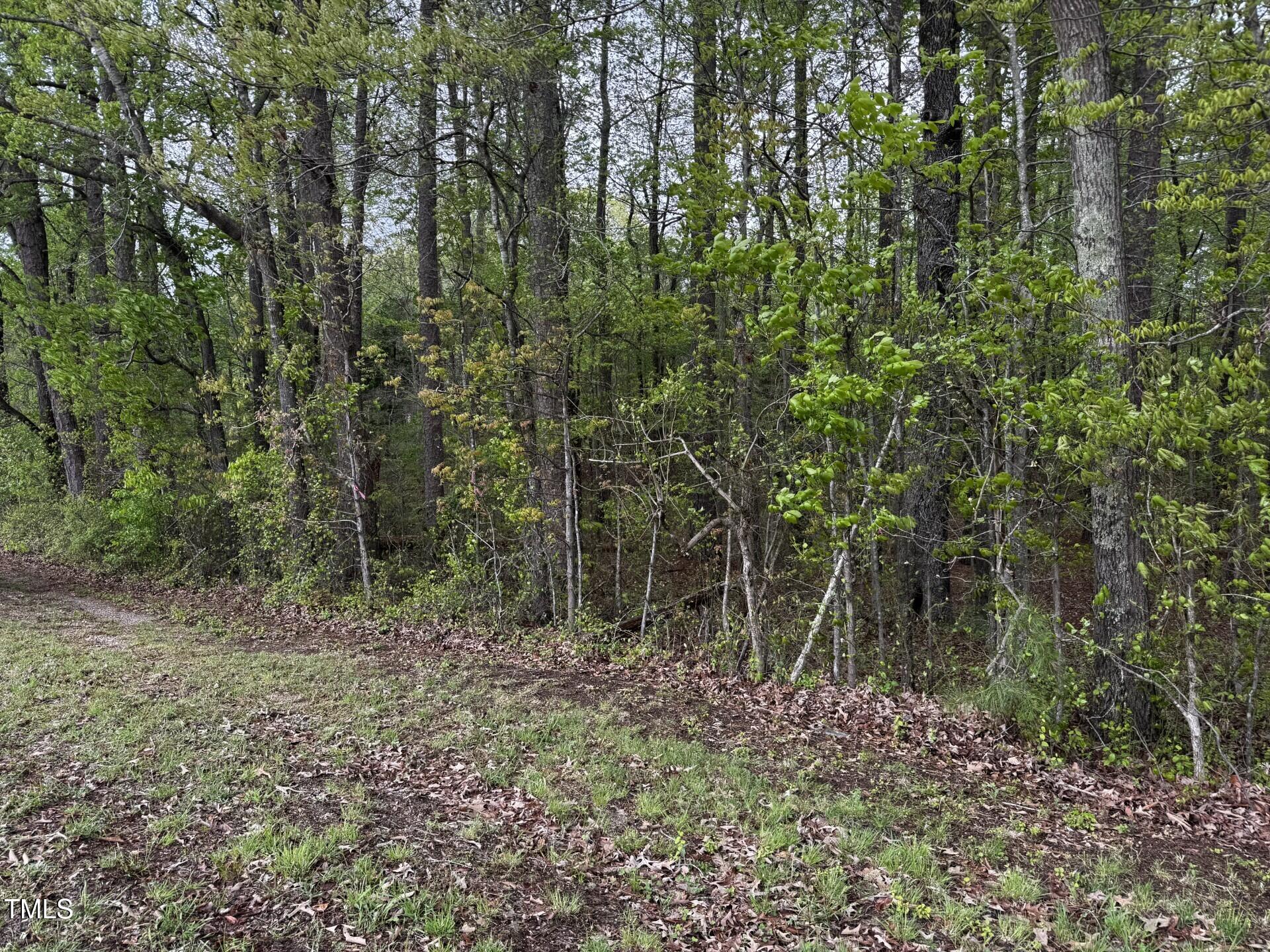 0 Horseshoe Bend Road Henderson, NC 27537 - Photo 3 of 4 thumbnail_IMG_2666