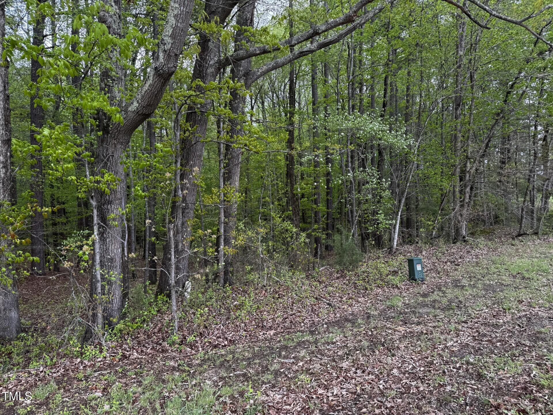 0 Horseshoe Bend Road Henderson, NC 27537 - Photo 4 of 4 thumbnail_IMG_2664