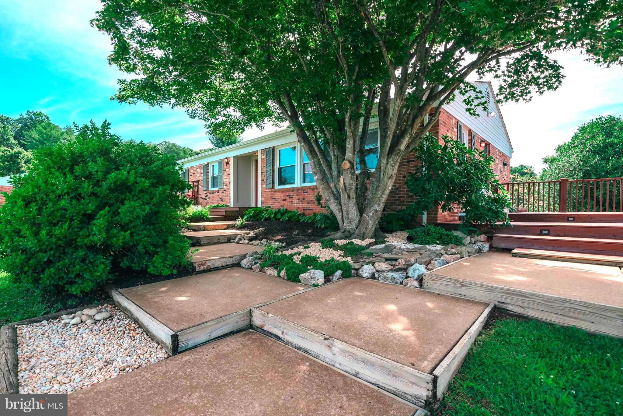 230 Blankenbaker Road Madison, VA 22727 - Photo 3 of 51 Beautiful landscape