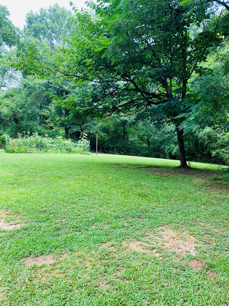 719 Chestnut Ridge Road McCormick, SC 29835 - Photo 19 of 22 Gallery Image 19