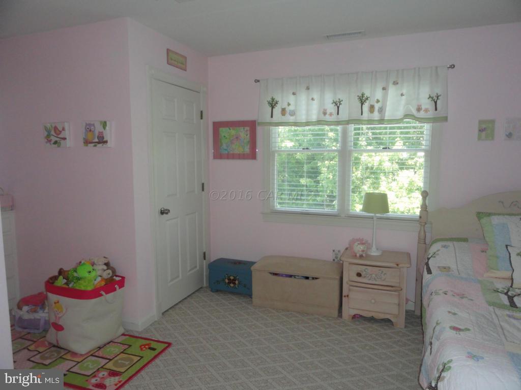 24633 McInturff Road Dames Quarter, MD 21821 - Photo 25 of 40 Gallery Image 25