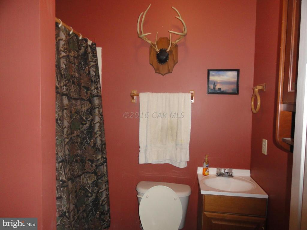 24633 McInturff Road Dames Quarter, MD 21821 - Photo 34 of 40 Gallery Image 34