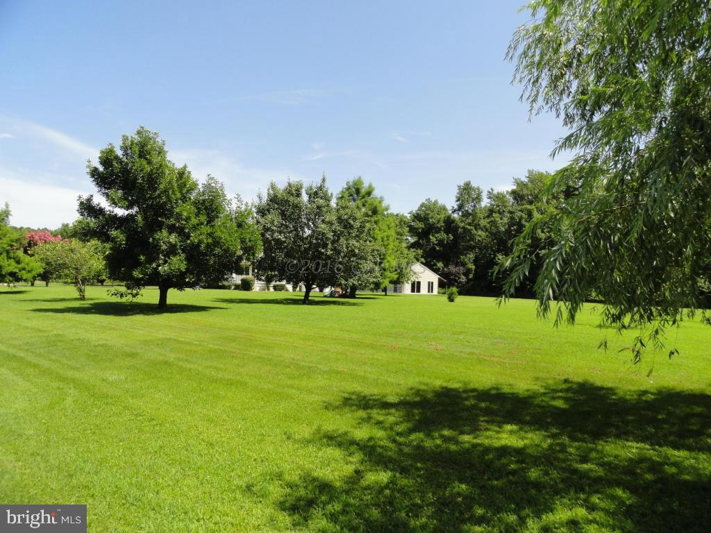 24633 McInturff Road Dames Quarter, MD 21821 - Photo 37 of 40 Gallery Image 37