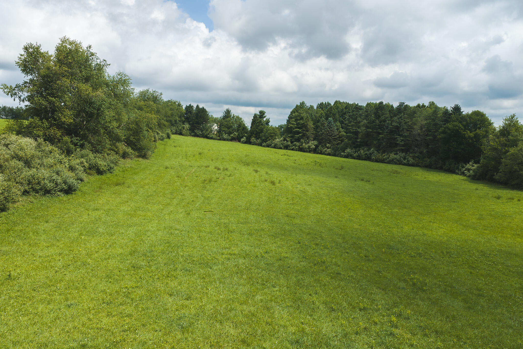 Lot 2 Ridgeview Road Northwest Floyd, VA 24091 - Photo 16 of 32 DJI_20260804121635_0289_D