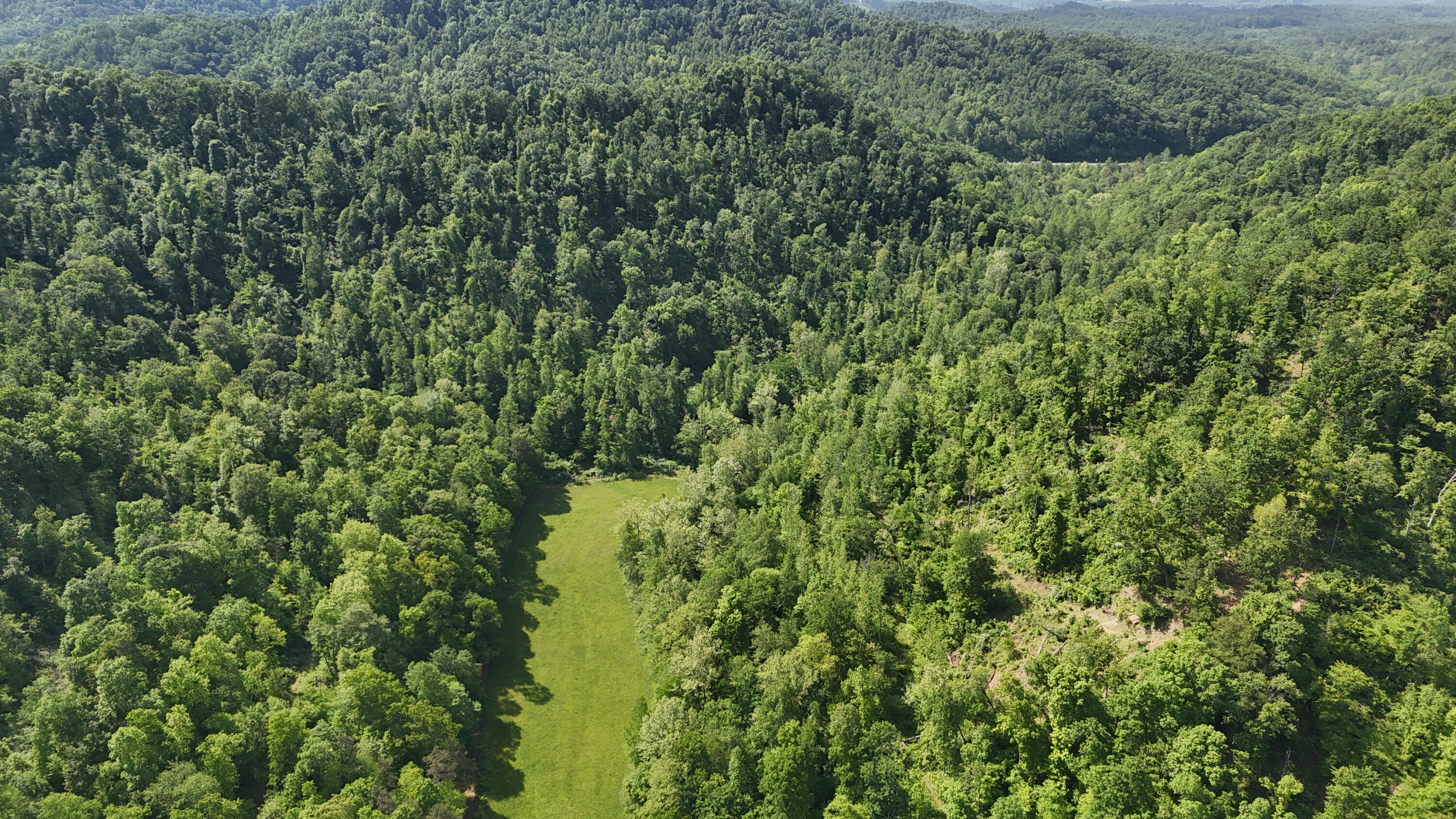 9999 Jackie Bratcher Road Manchester, KY 40962 - Photo 15 of 32 a6
