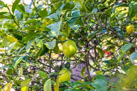 $1,995,000 | 115 Ellsworth Street, San Francisco, CA 94110