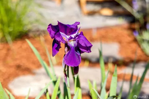 $1,995,000 | 115 Ellsworth Street, San Francisco, CA 94110