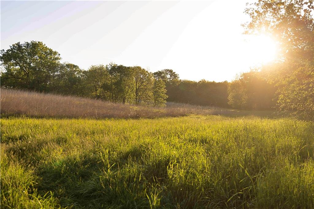 1658 Southeast Offutt Road Maysville, MO 64469 - Photo 75 of 98