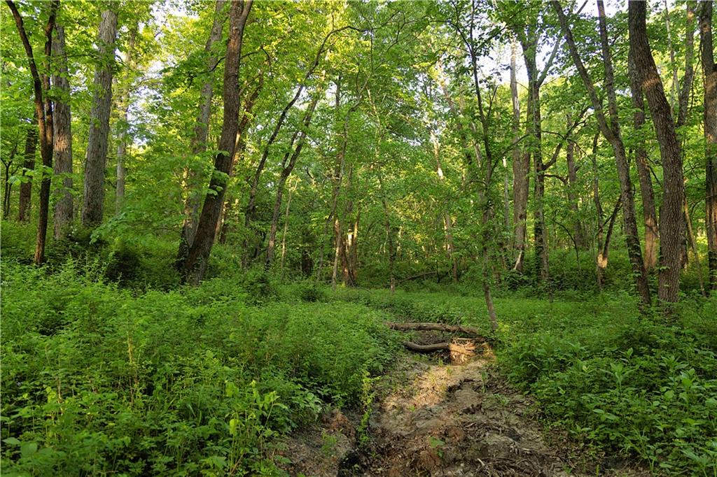 1658 Southeast Offutt Road Maysville, MO 64469 - Photo 84 of 98