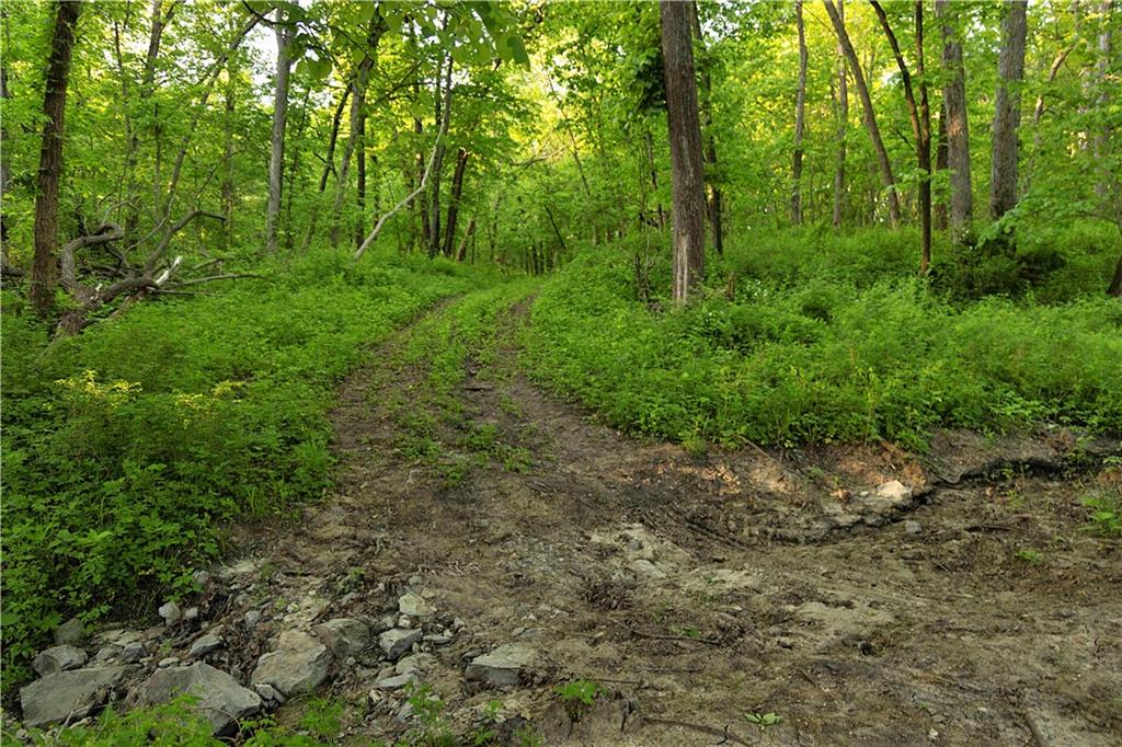 1658 Southeast Offutt Road Maysville, MO 64469 - Photo 87 of 98