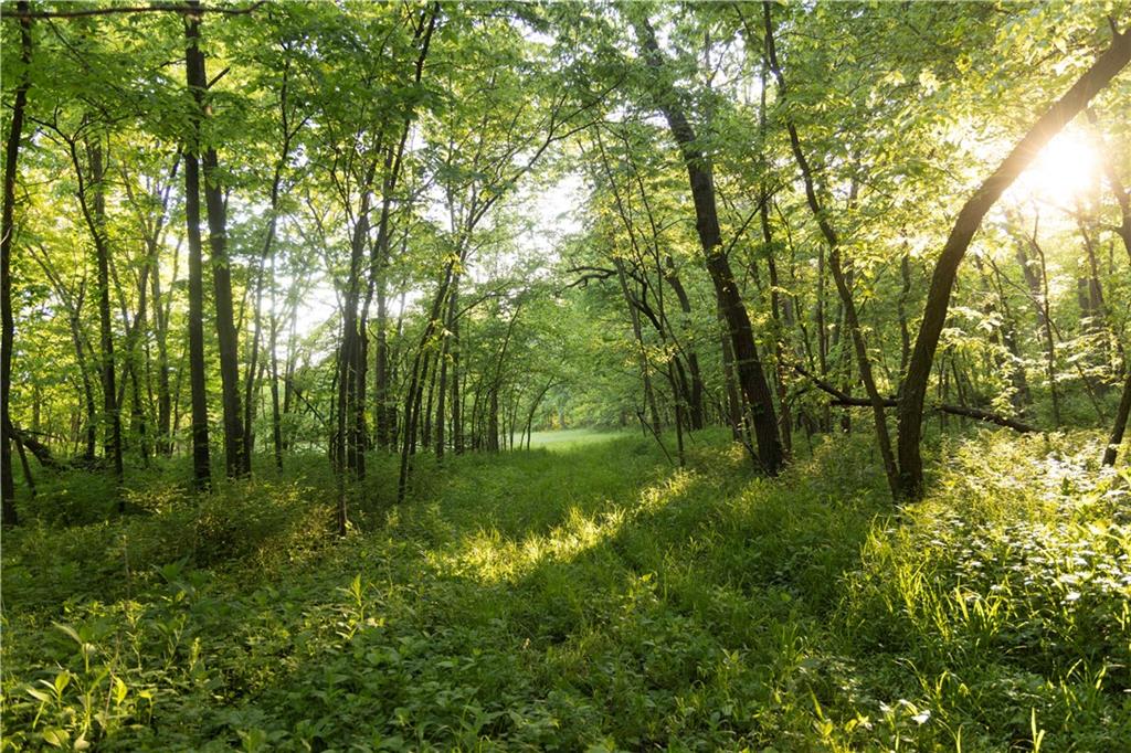 1658 Southeast Offutt Road Maysville, MO 64469 - Photo 89 of 98