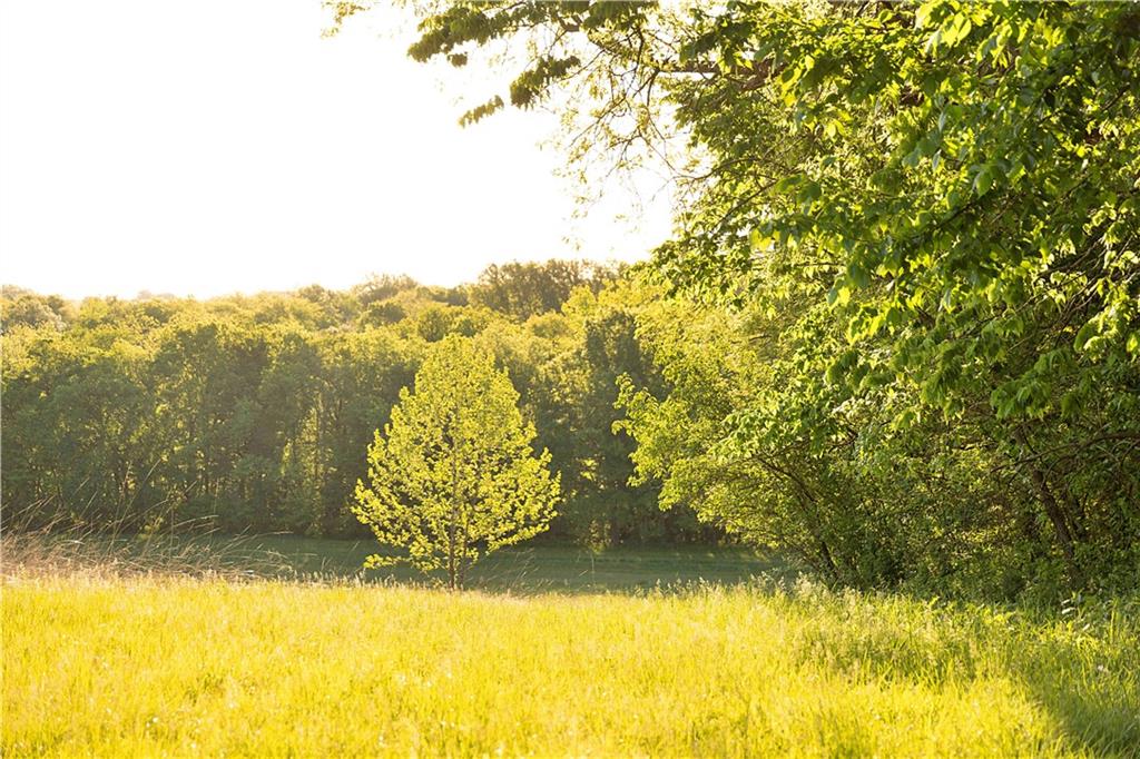 1658 Southeast Offutt Road Maysville, MO 64469 - Photo 95 of 98