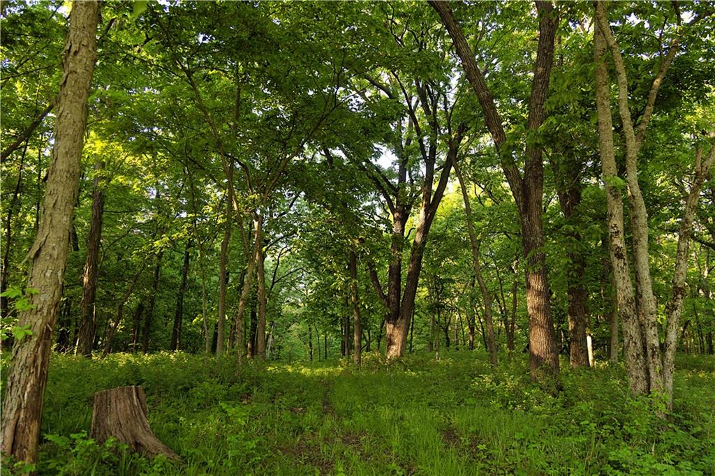 1658 Southeast Offutt Road Maysville, MO 64469 - Photo 96 of 98