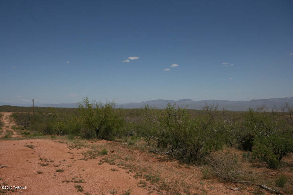 81483 East Goldbug Road Oracle, AZ 85623 - Photo 3 of 12