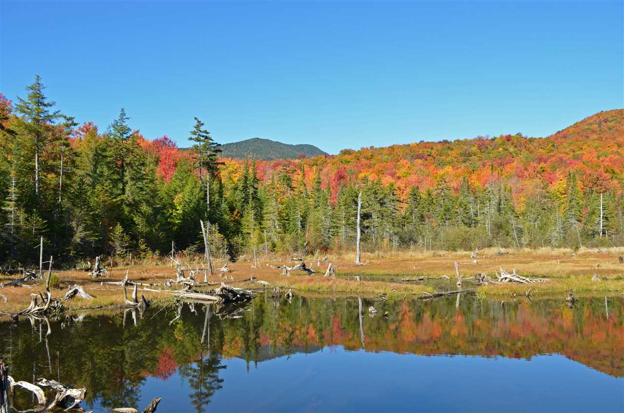 1625 Beaver Meadow Road Morristown, VT 05661 - Photo 1 of 8 Gallery Image 1