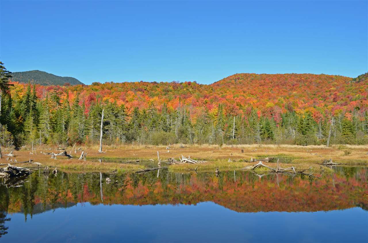 1625 Beaver Meadow Road Morristown, VT 05661 - Photo 2 of 8 Gallery Image 2