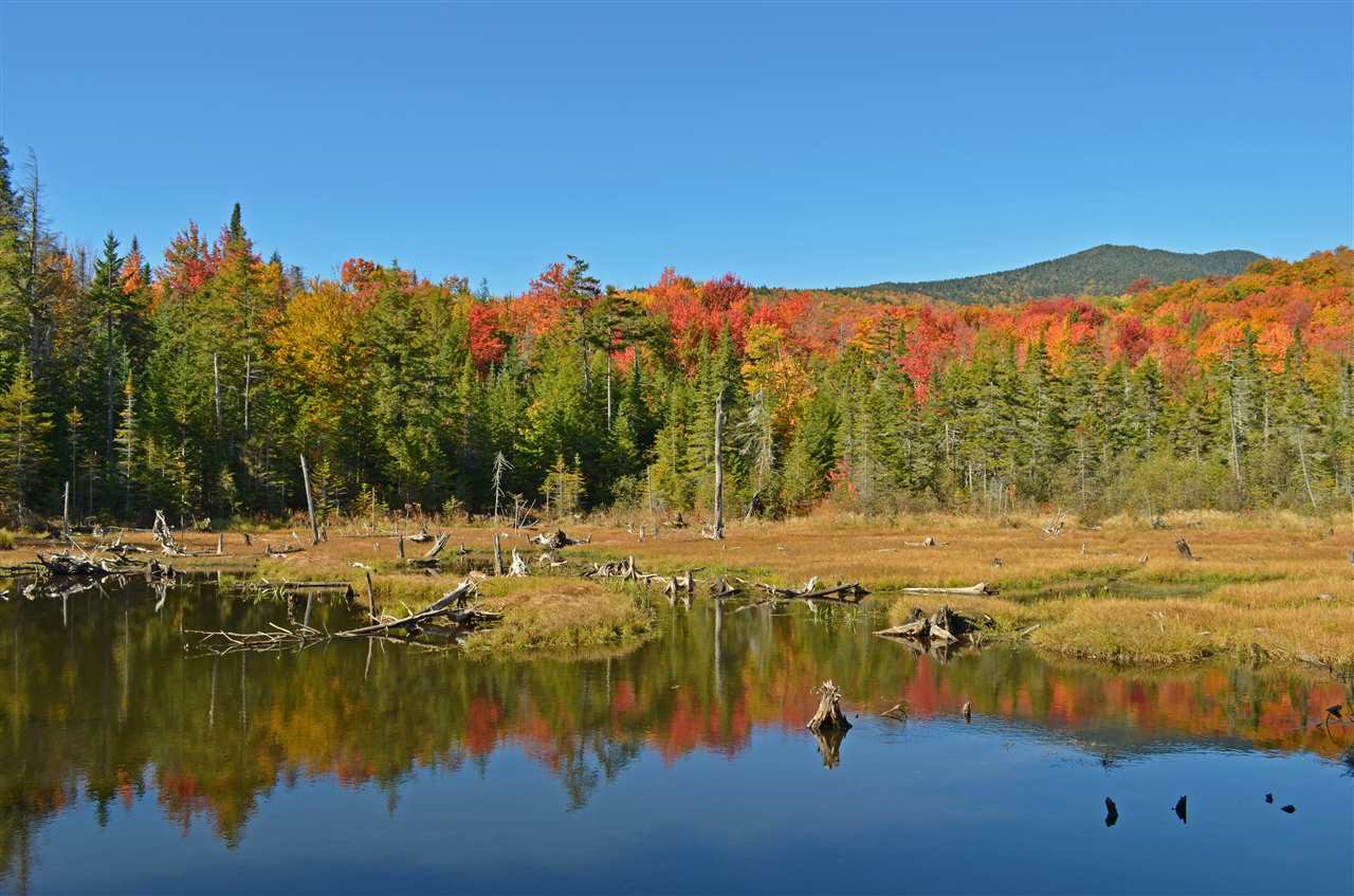 1625 Beaver Meadow Road Morristown, VT 05661 - Photo 4 of 8 Gallery Image 4