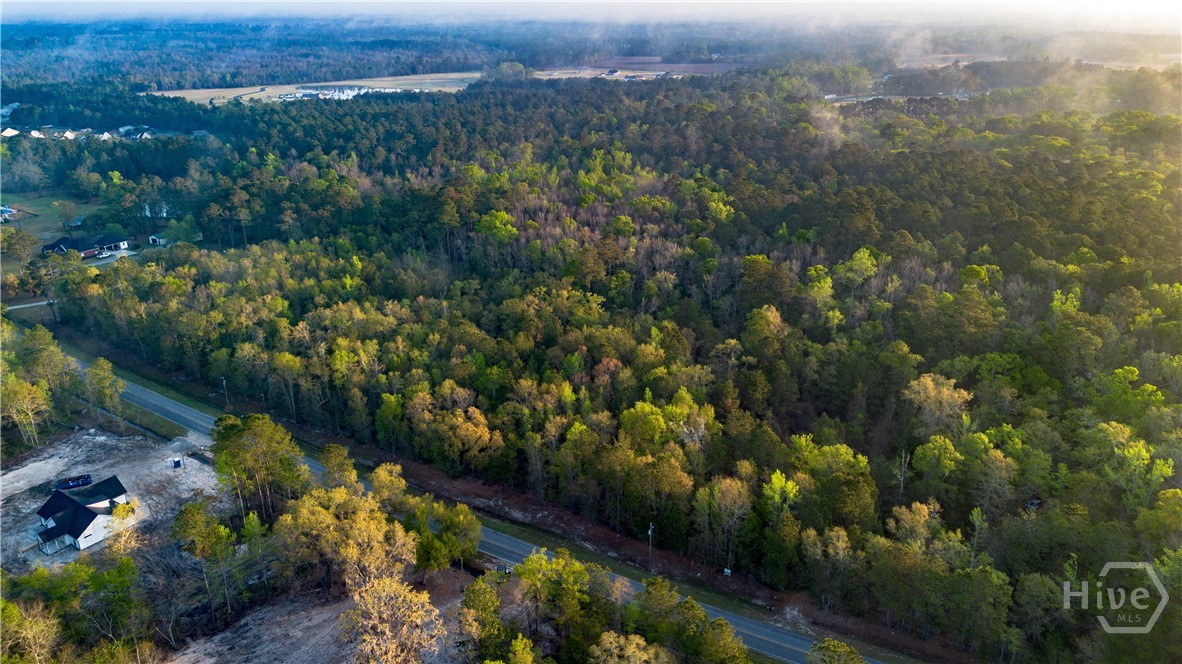4 Little McCall Road Guyton, GA 31312 - Photo 7 of 12