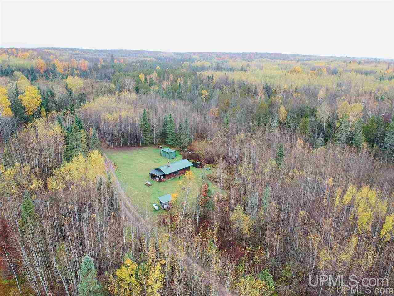 30662 Co Road Cornell, MI 49818 - Photo 3 of 42