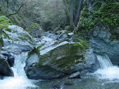 18735 King Ridge Road Cazadero, CA 95421 - Photo 2 of 12 Gallery Image 2