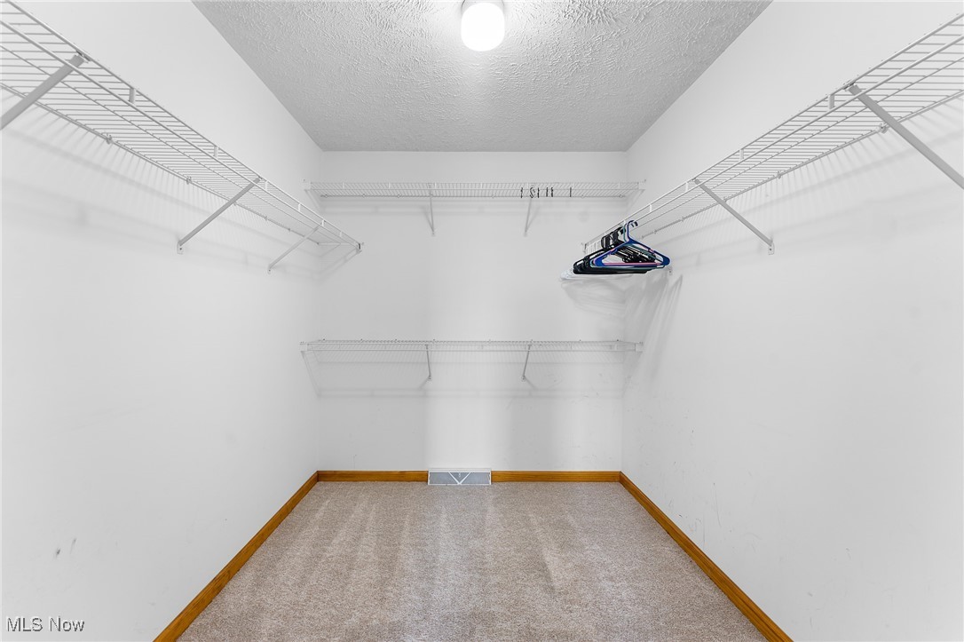6272 Merwin Chase Road Brookfield, OH 44403 - Photo 20 of 38 Walk in closet with carpet flooring