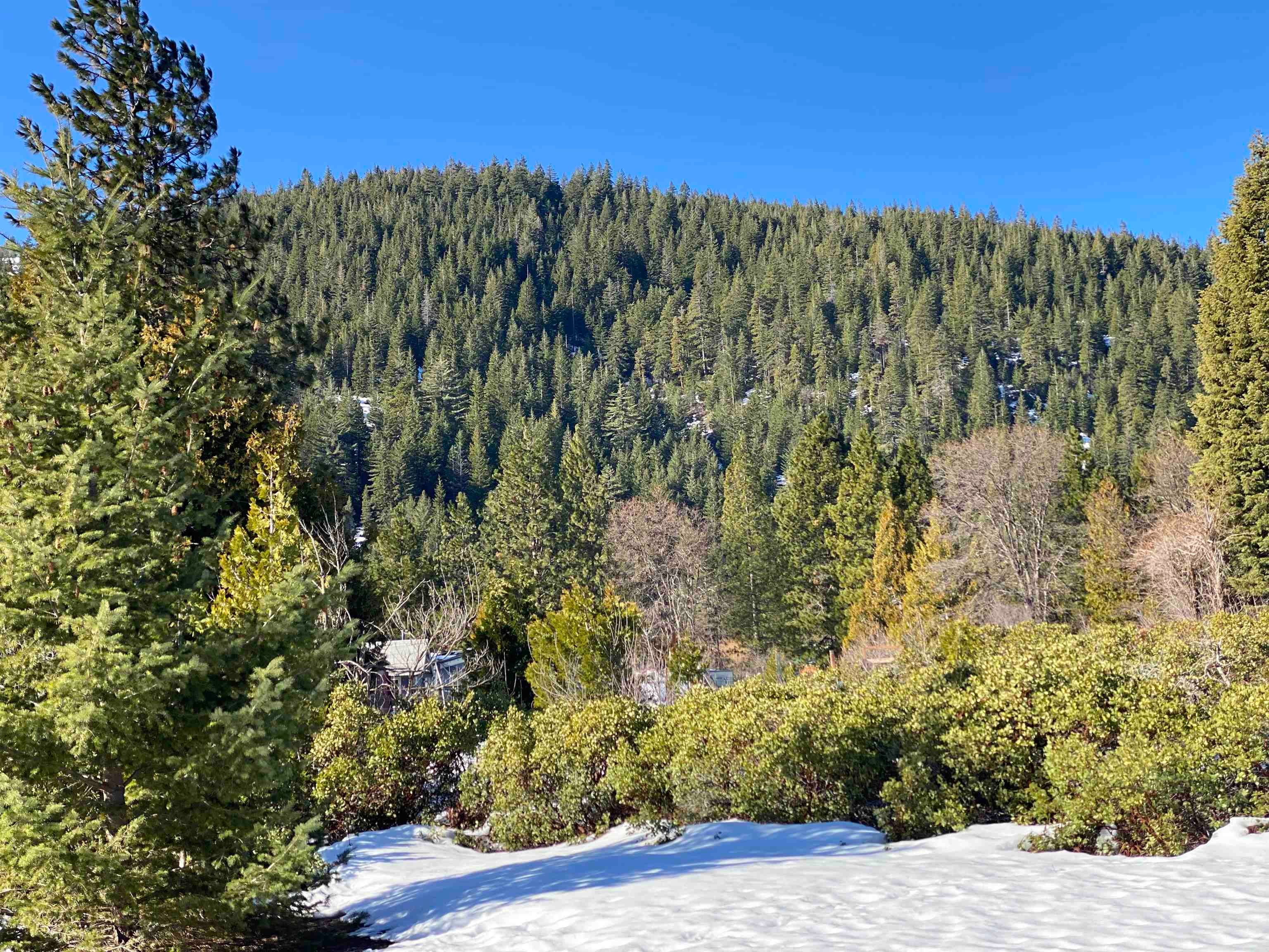 Davis Place Road Mount Shasta, CA 96067 - Photo 2 of 5 Gallery Image 2