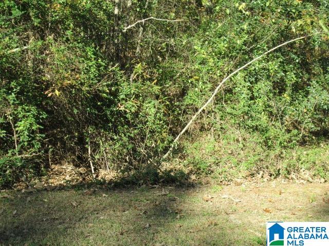 0 Eureka Road, Unit 64 Lincoln, AL 35096 - Photo 2 of 5