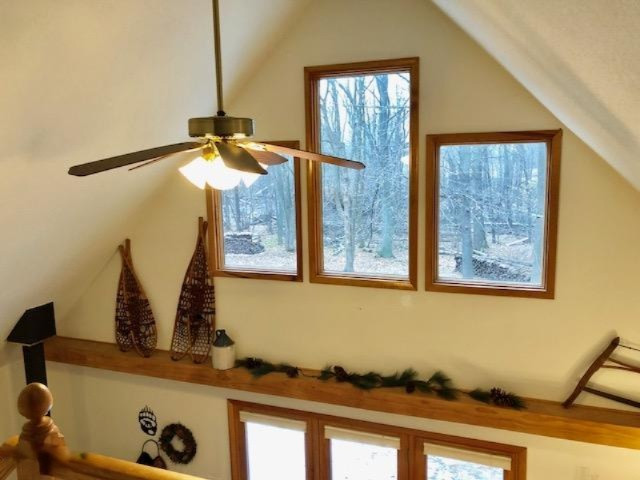 916 2 Mile Road Blanchard, MI 49310 - Photo 11 of 17 View from Loft area