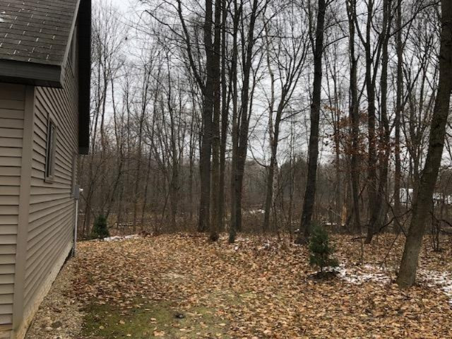 916 2 Mile Road Blanchard, MI 49310 - Photo 14 of 17 4