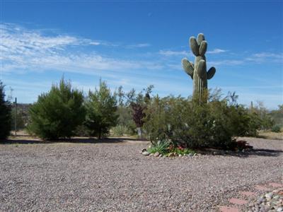 11200 West Orange Grove Road Tucson, AZ 85743 - Photo 7 of 7 Gallery Image 7