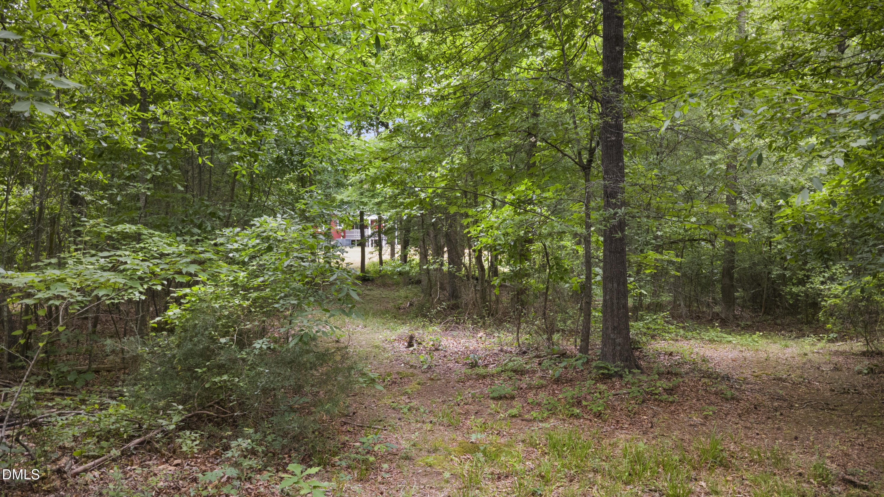 2168 Lakewood Falls Road Goldston, NC 27252 - Photo 28 of 30 a view of a forest with trees
