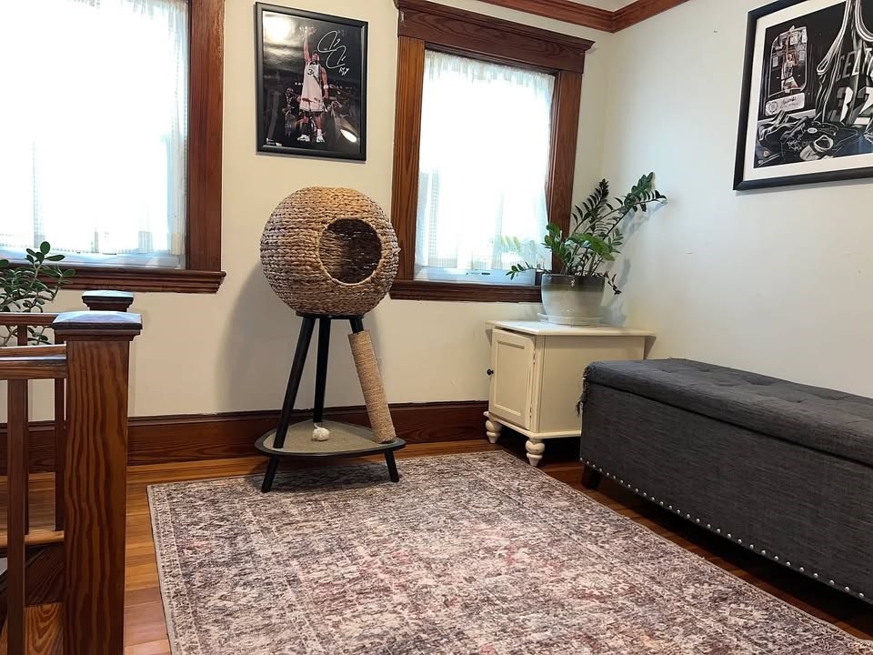 29 Richie Road, Unit 2 Quincy, MA 02169 - Photo 17 of 30 a living room with a couch and a potted plant
