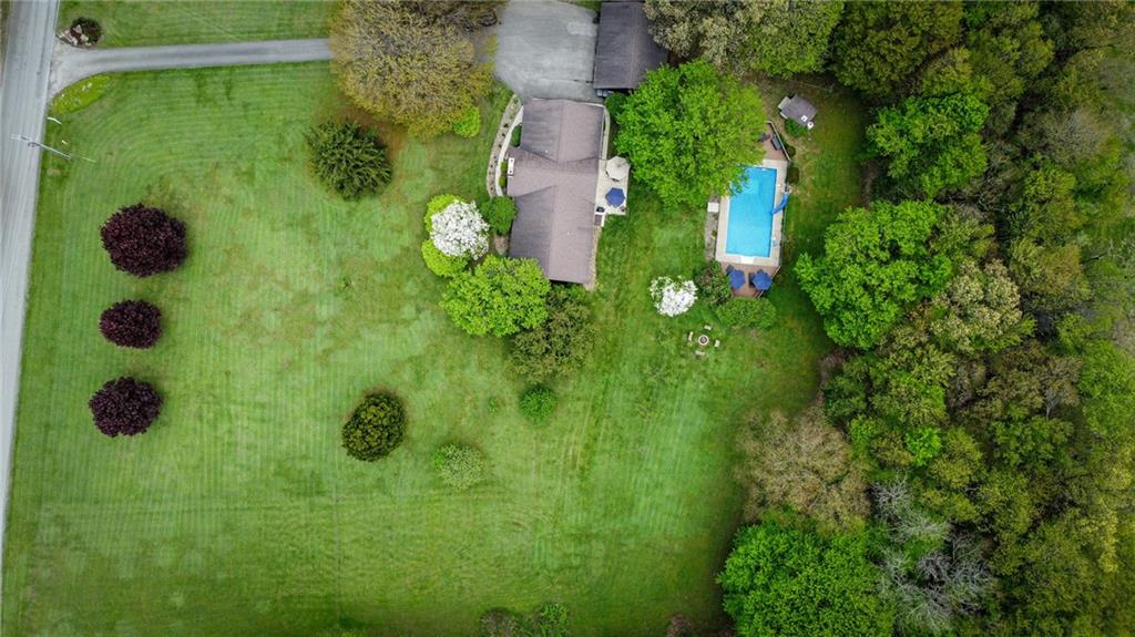 706 Clearfield Road Fenelton, PA 16034 - Photo 50 of 50 a close up of a plant in a garden