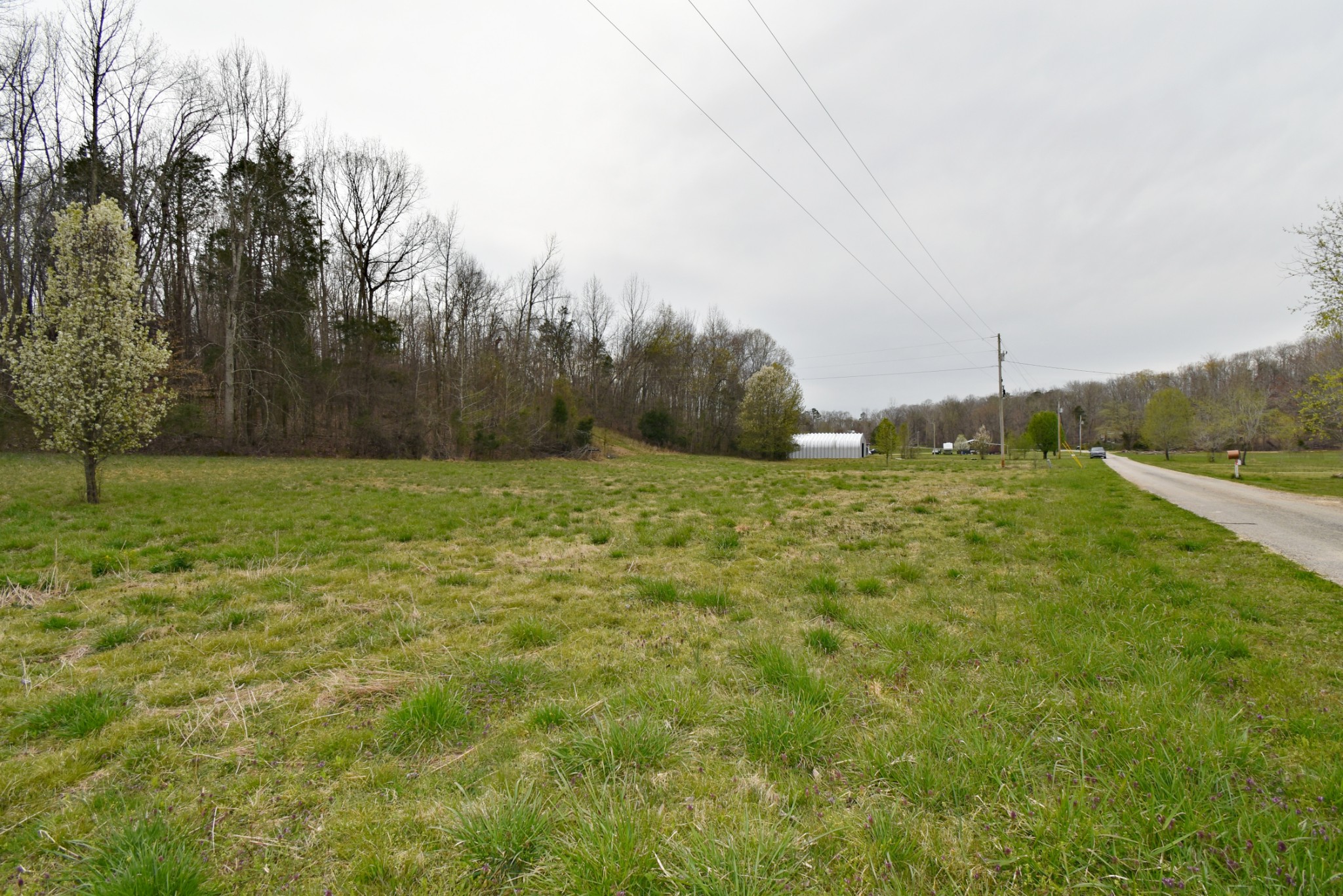72 Sumac Road Linden, TN 37096 - Photo 11 of 13 Gallery Image 11