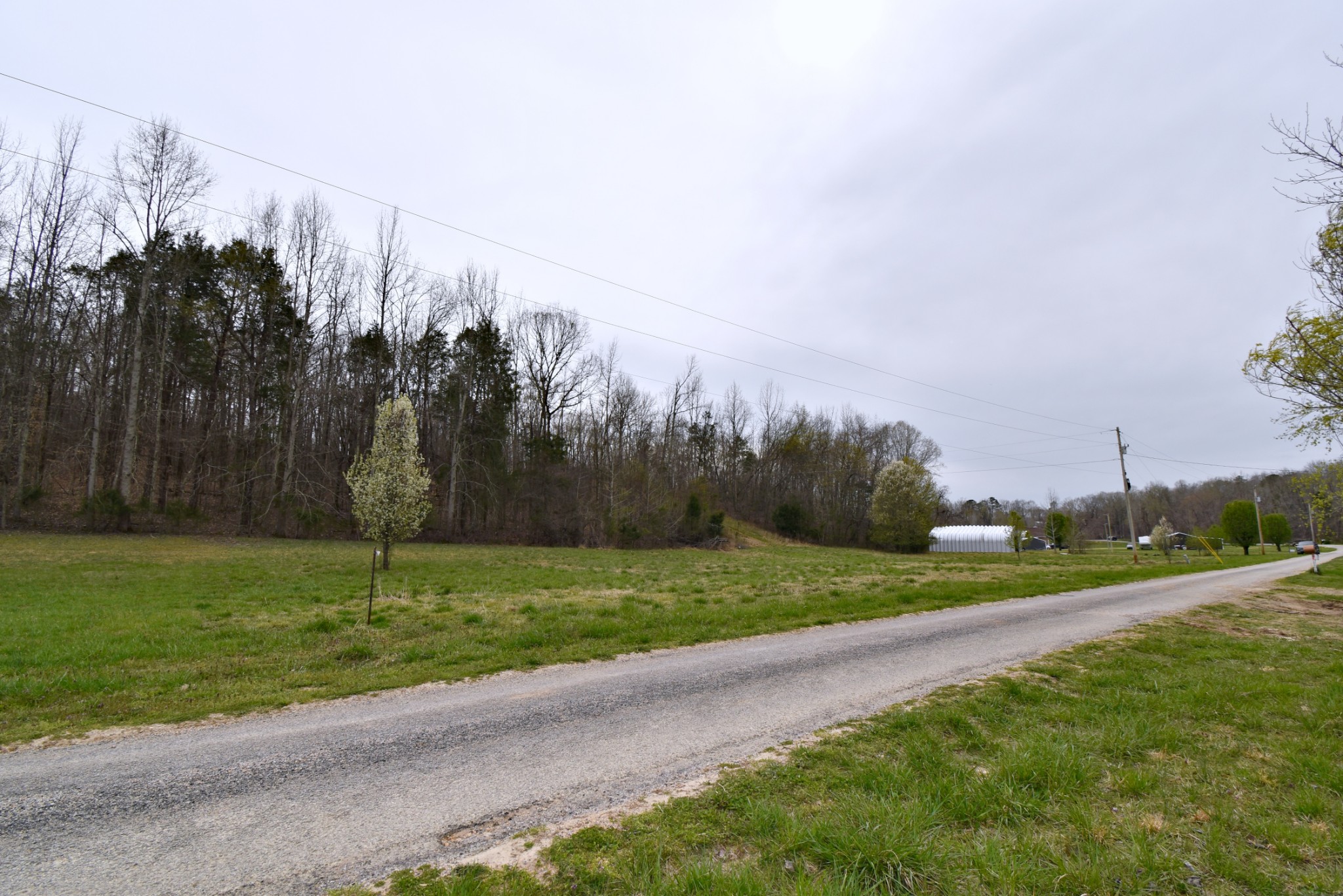 72 Sumac Road Linden, TN 37096 - Photo 12 of 13 Gallery Image 12