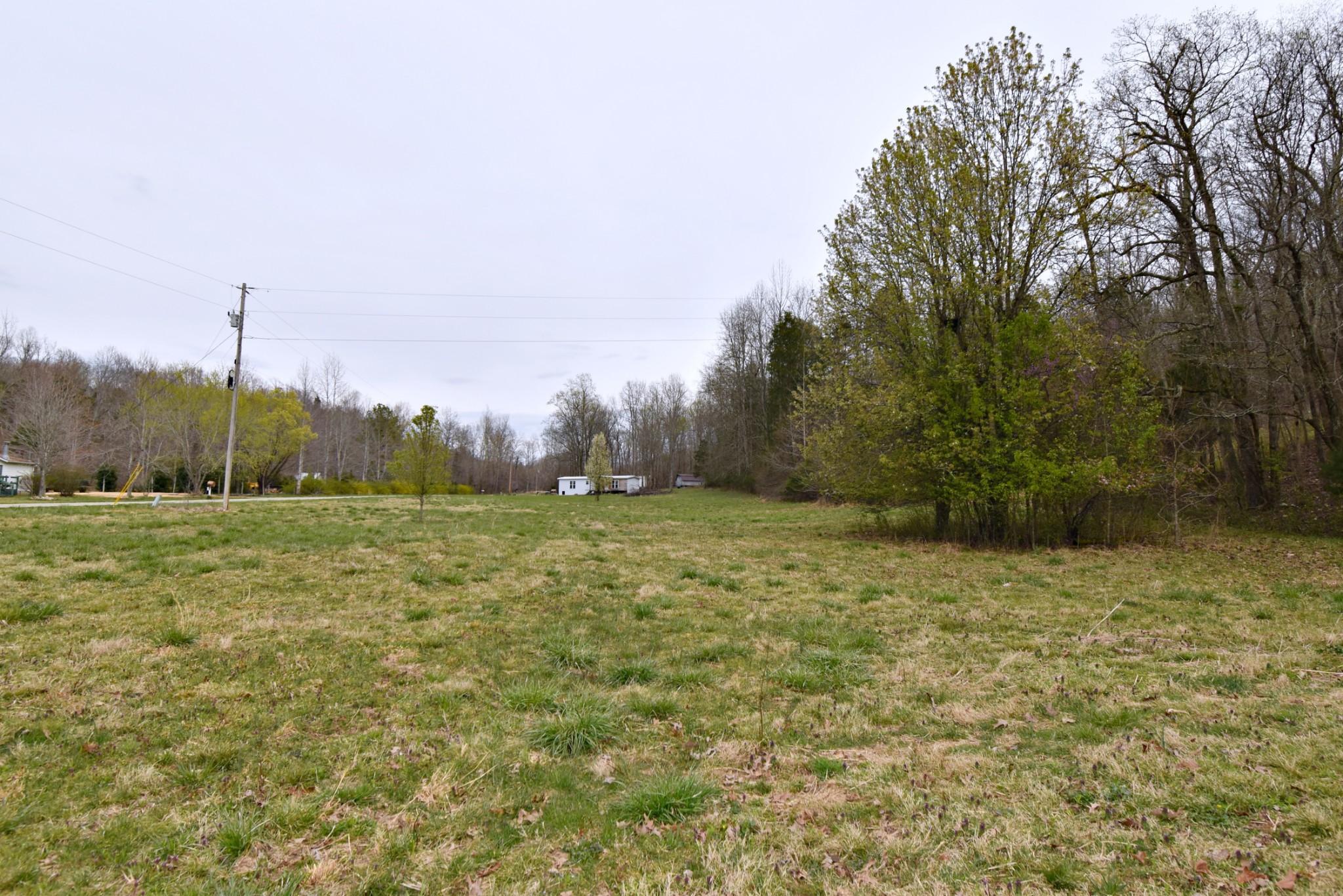 72 Sumac Road Linden, TN 37096 - Photo 5 of 13 Gallery Image 5