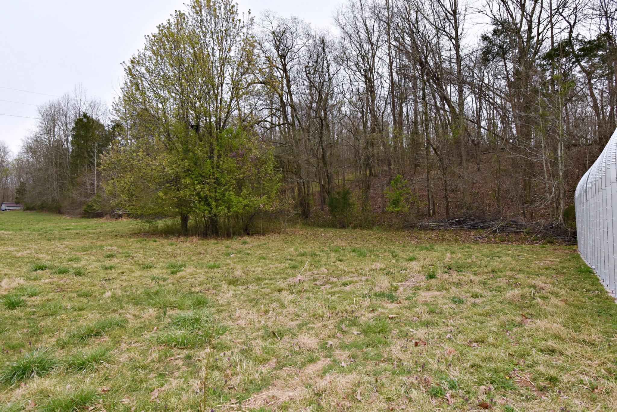 72 Sumac Road Linden, TN 37096 - Photo 6 of 13 Gallery Image 6