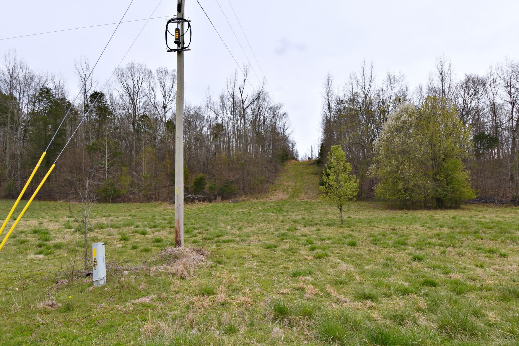 72 Sumac Road Linden, TN 37096 - Photo 8 of 13 Gallery Image 8