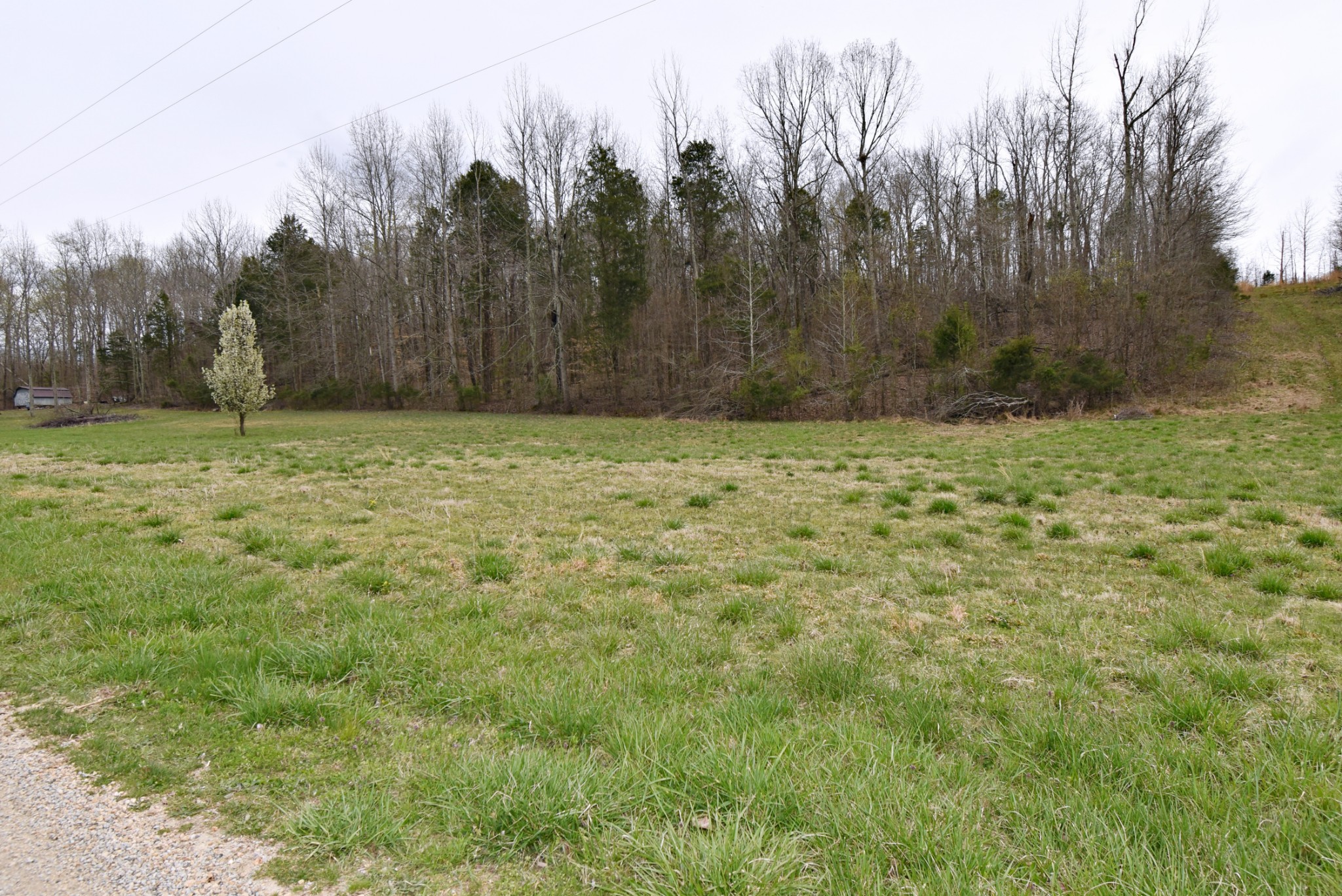 72 Sumac Road Linden, TN 37096 - Photo 9 of 13 Gallery Image 9