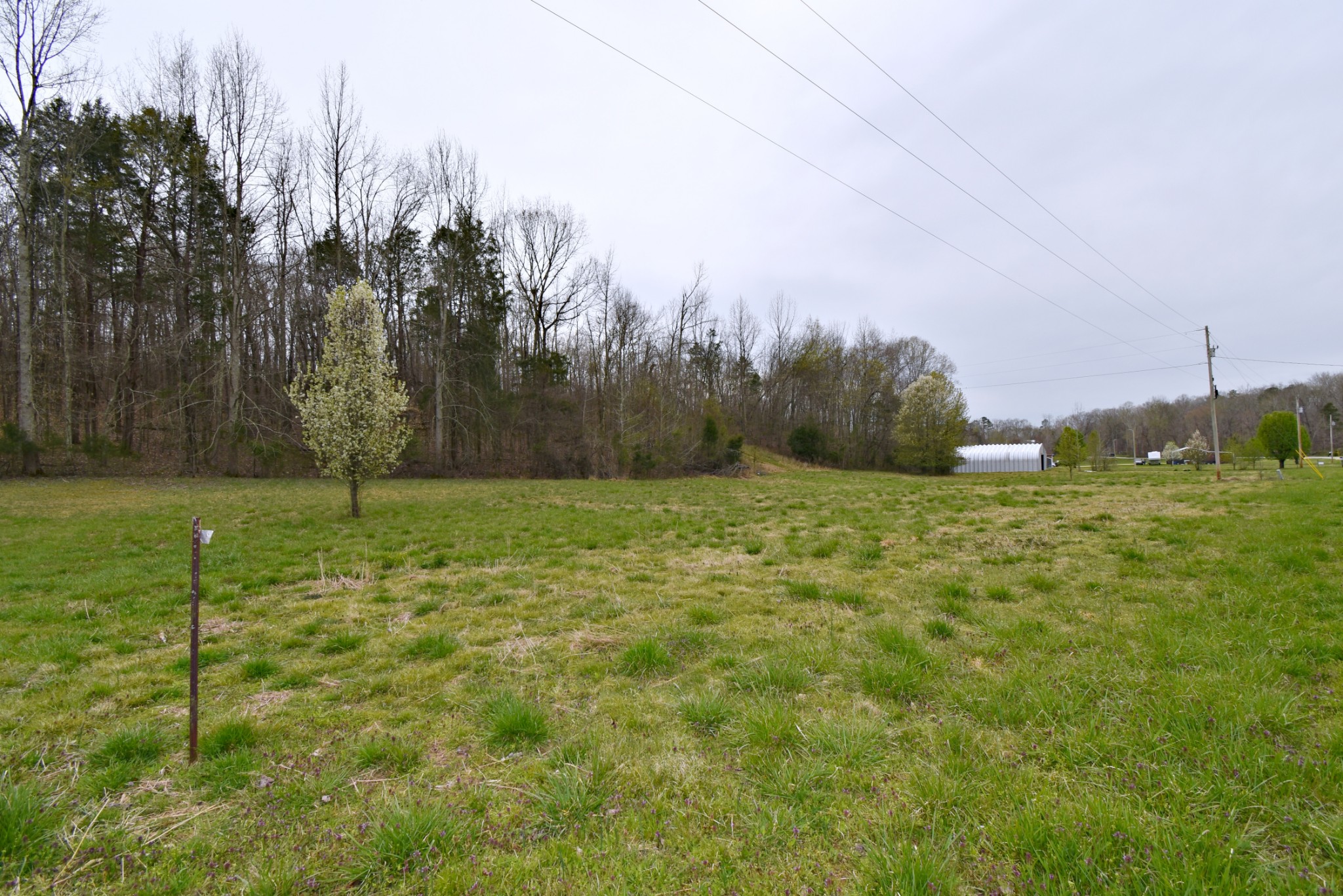 72 Sumac Road Linden, TN 37096 - Photo 10 of 13 Gallery Image 10