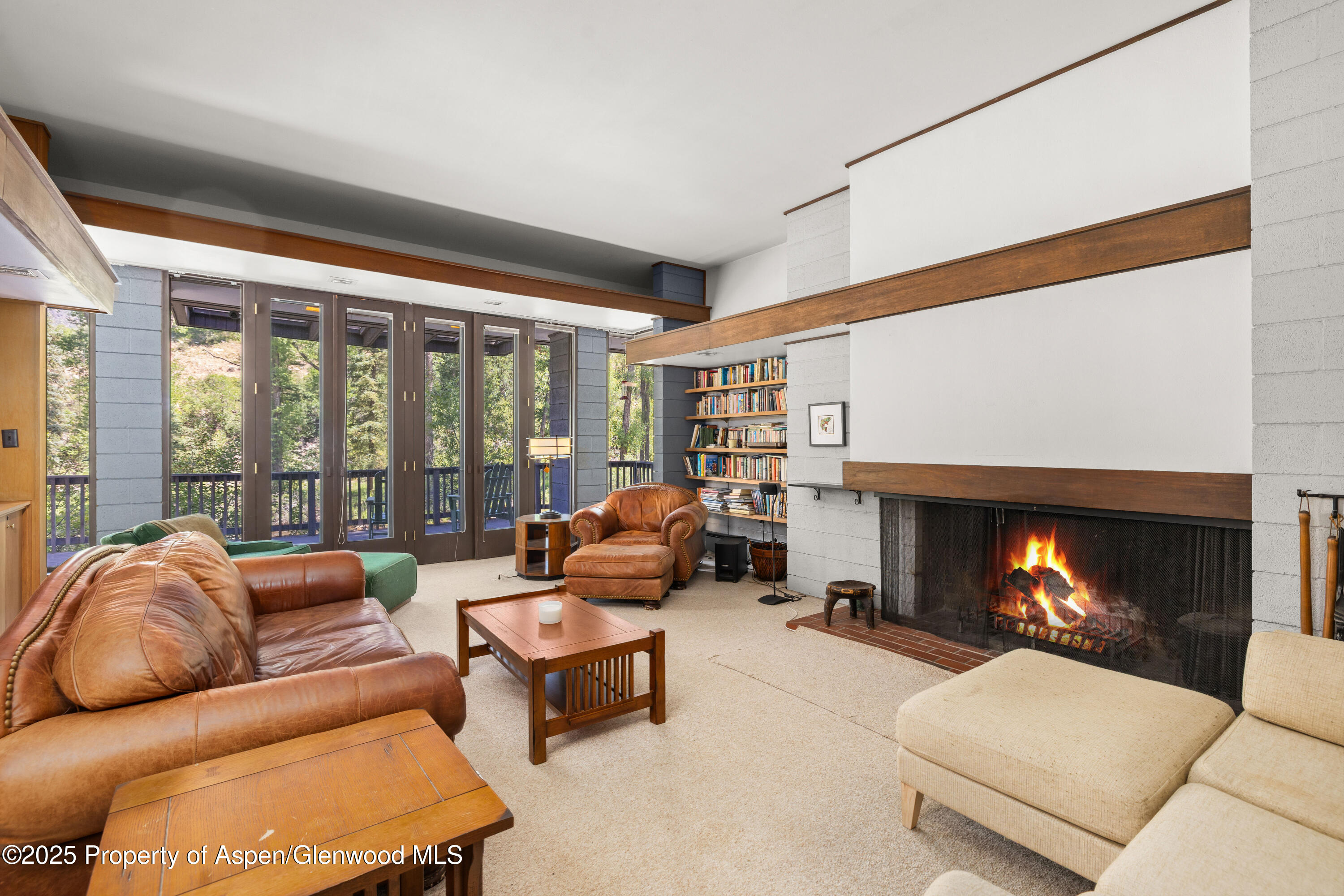 820 Twining Flats Road Aspen, CO 81611 - Photo 5 of 15 a living room with furniture and a fireplace