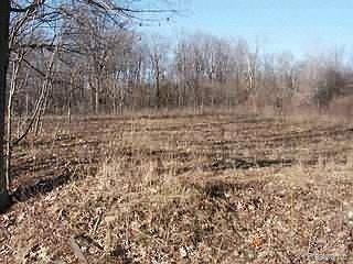 M Stanton Lake Road Attica, MI 48412 - Photo 1 of 1 Property Photo