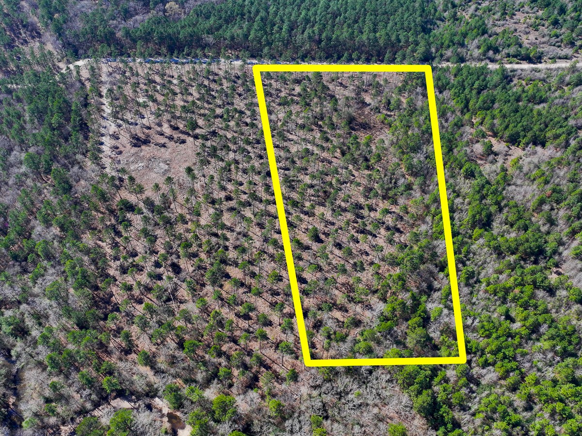 1 Boontown Road Trinity, TX 75862 - Photo 11 of 12 Gallery Image 11